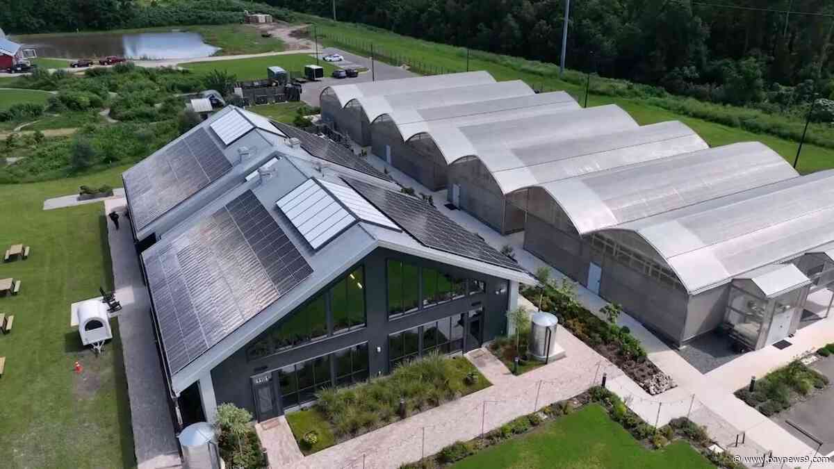 How urban farms could help Central Florida build climate resilience