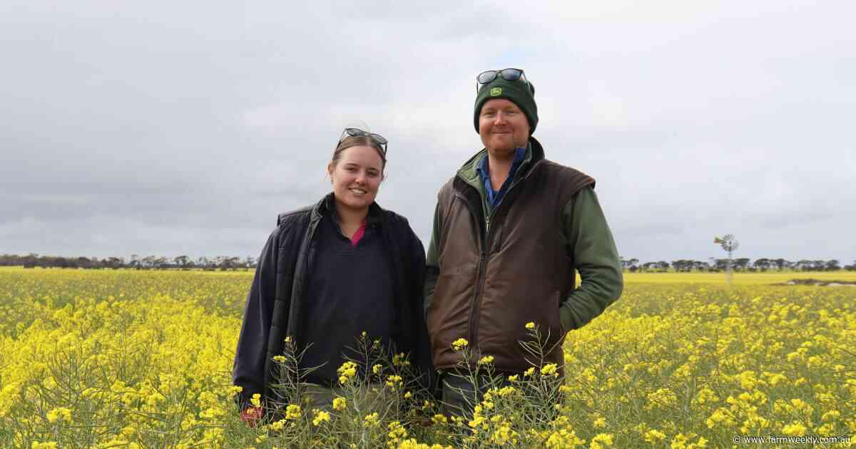 How the Antonios have bulked up their own nitrogen banks with pasture legumes