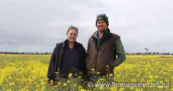 How the Antonios have bulked up their own nitrogen banks with pasture legumes