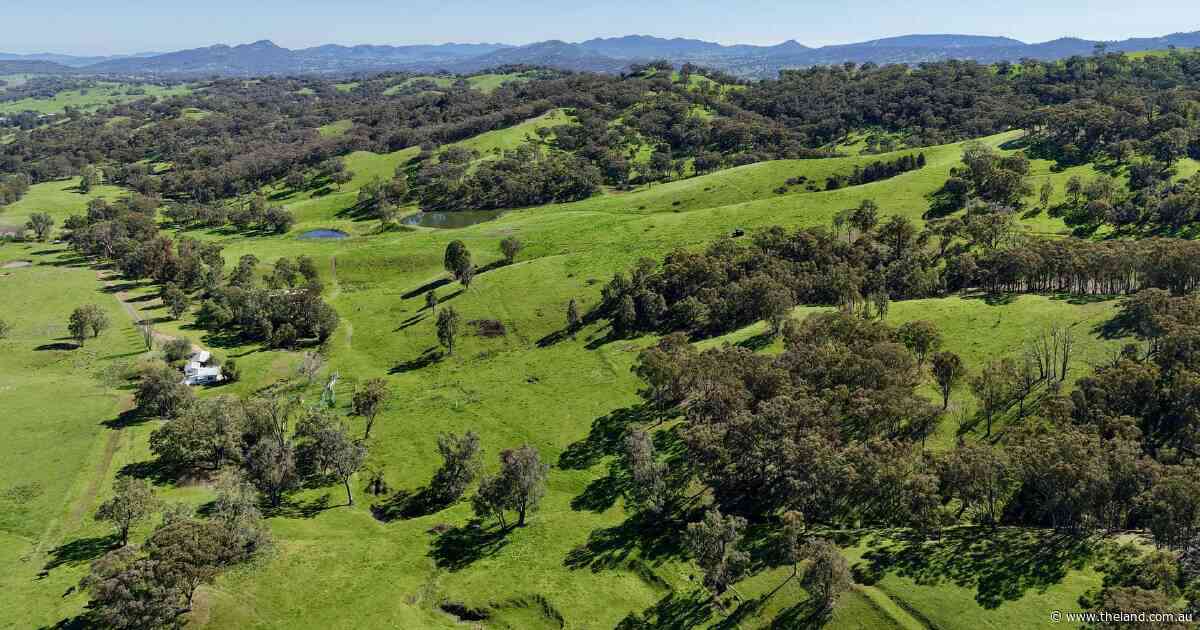 Exceptionally picturesque, well-balanced grazing property | Video