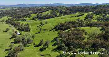 Exceptionally picturesque, well-balanced grazing property | Video