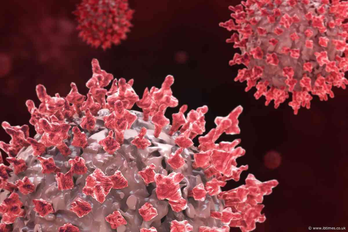 Covid's Hidden Sepsis Toll Emerges as Studies Find It in up to 93% of Deaths but Just 9% Were Coded