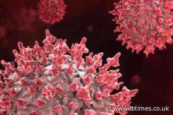 Covid's Hidden Sepsis Toll Emerges as Studies Find It in up to 93% of Deaths but Just 9% Were Coded