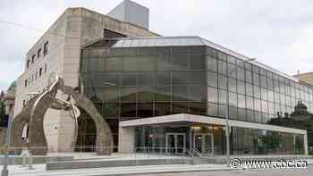 Winnipeg woman pleads guilty to years-long abuse of girl who knew her as a sister