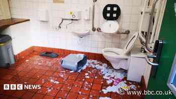 'Mindless vandals' causing public toilet damage