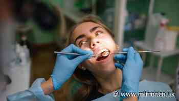 Private dentists 'overcharging patients by thousands' after collapse in NHS access
