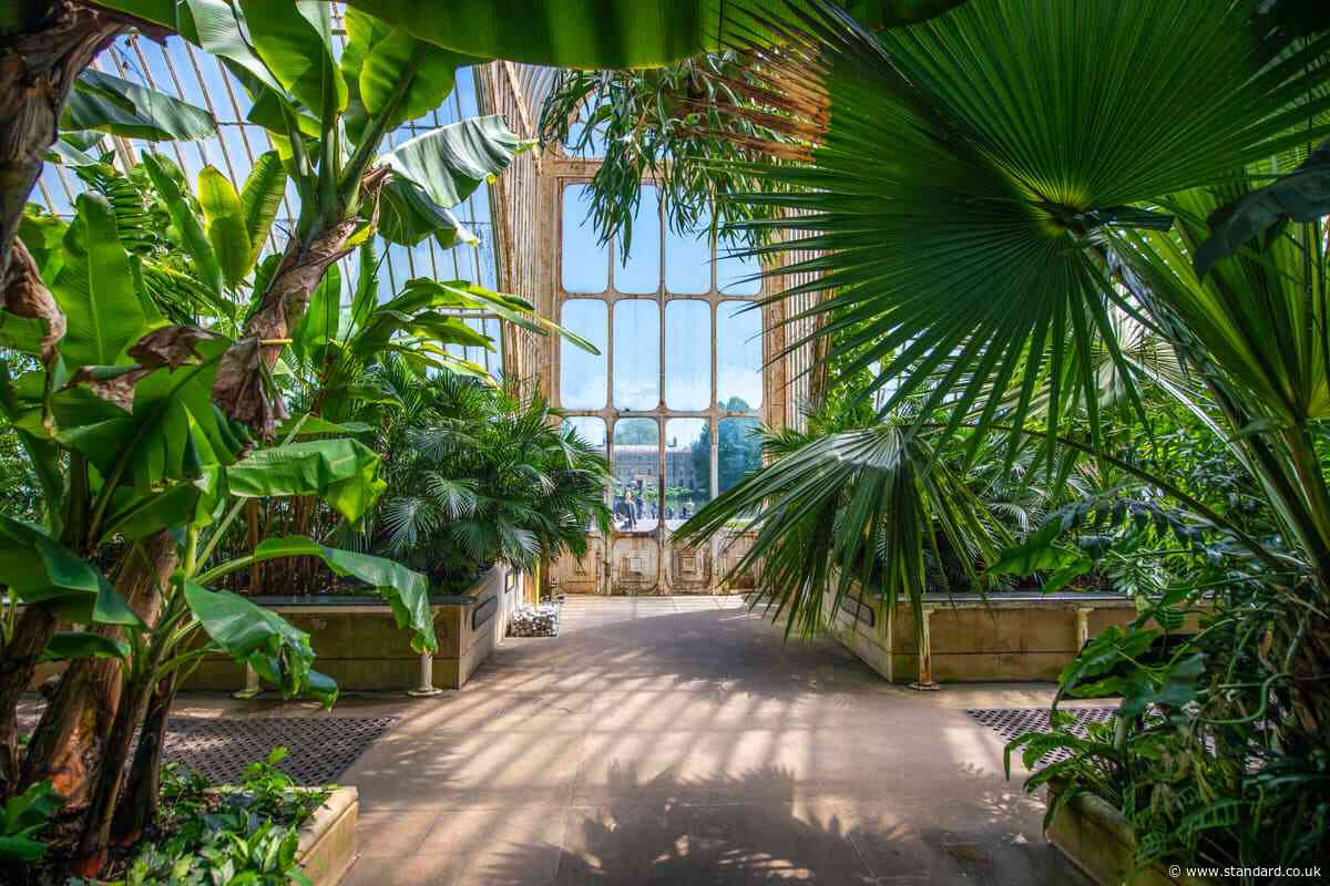 Kew Gardens launches £1million public fundraising plea to save historic Palm House
