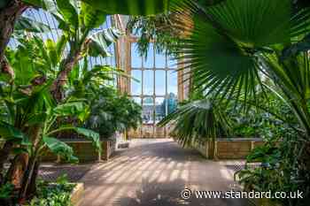 Kew Gardens launches £1million public fundraising plea to save historic Palm House
