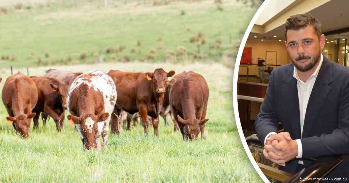 Proposed increase to grass-fed cattle levy, where the money will be spent