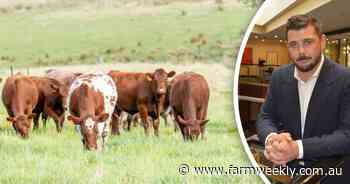 Proposed increase to grass-fed cattle levy, where the money will be spent