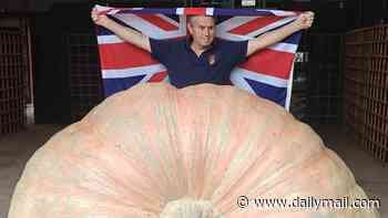 Gourd-geous! British grandfather smashes world's biggest pumpkin record... again