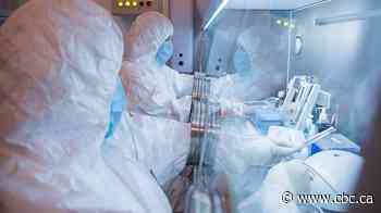 Did a Russian lab worker die from pneumonic plague? What we know — and don't know