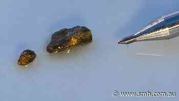 More high-grade gold builds Great Southern WA gold story