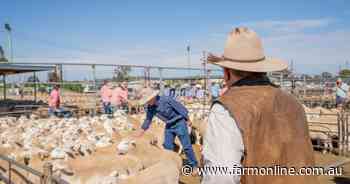 What shifting global lamb prices spreads mean for Australian producers
