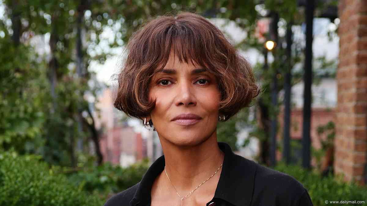 Halle Berry asks court to reinstate past 50/50 arrangement with Olivier Martinez in custody war... and cites past as domestic violence victim in response to his accusations