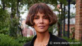 Halle Berry asks court to reinstate past 50/50 arrangement with Olivier Martinez in custody war... and cites past as domestic violence victim in response to his accusations