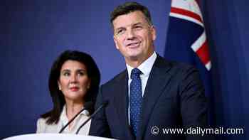 Liberal leader Angus Taylor promises the biggest immigration cut in Australian history as Pauline Hanson claims he's stealing her policy