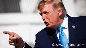 Trump uses transgender slur against opponent of Darline Graham as he urges voters to back late South Carolina senator's sister
