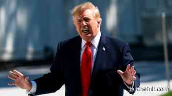 Trump says he will pay for 'Patriotic Ads' himself after facing backlash from Democrats
