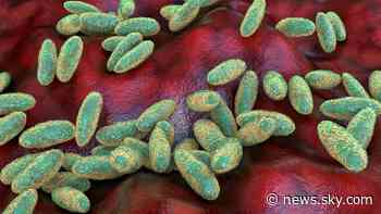US 'closely monitoring' after Russian lab worker 'dies of suspected plague'