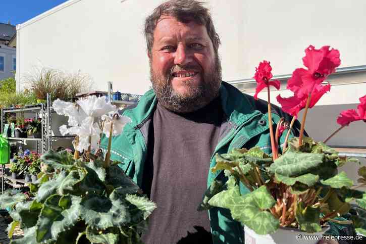 Gärtner aus dem Vogtland setzt auf einen Klassiker: Blütenpracht hält Frost bis minus fünf Grad aus