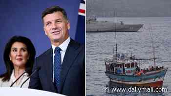 There's a big issue with Coalition's Johnny-come-lately plan to slash immigration: they helped create this problem, says PETER VAN ONSELEN
