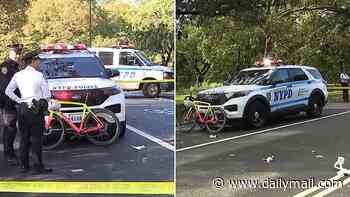New York City cyclist is killed after colliding with a dog in Central Park