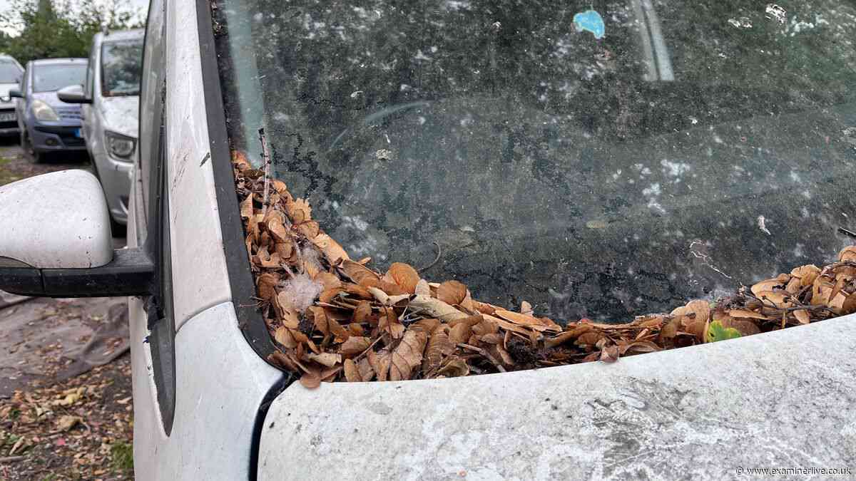 Huddersfield street's 'abandoned' cars covered in mould and left for a year