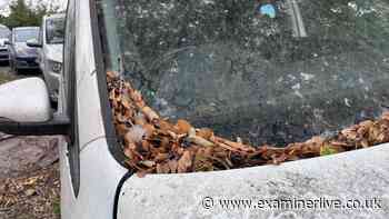 Huddersfield street's 'abandoned' cars covered in mould and left for a year