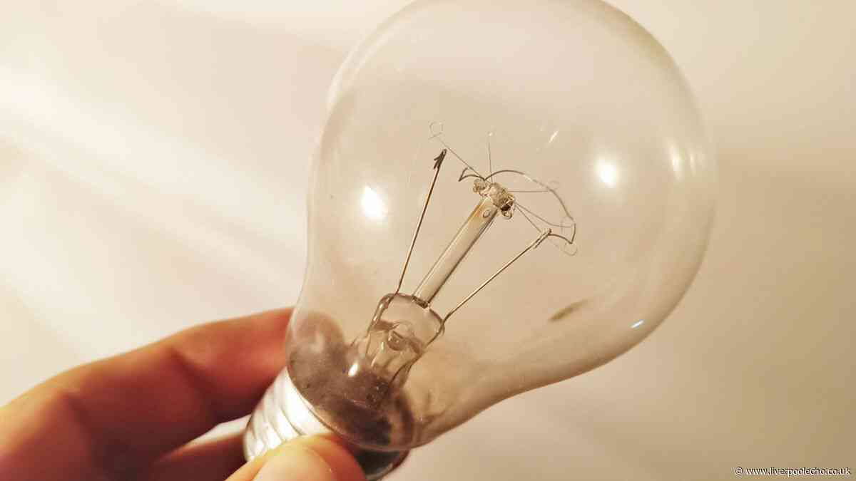 Binman shares the best place to dispose of old light bulbs