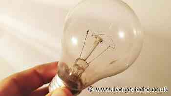 Binman shares the best place to dispose of old light bulbs
