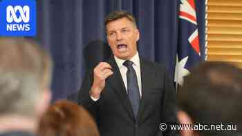 Coalition promises deep cuts in migration fight with One Nation, Labor