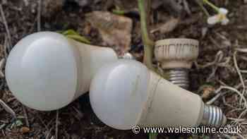 Binman explains whether light bulbs should be put in general waste or recycling bins