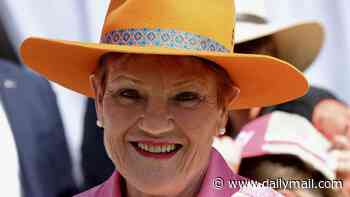 One Nation candidate's radical plan to send druggies to the bush to pick fruit, get them off the gear and repay the victims of their crimes