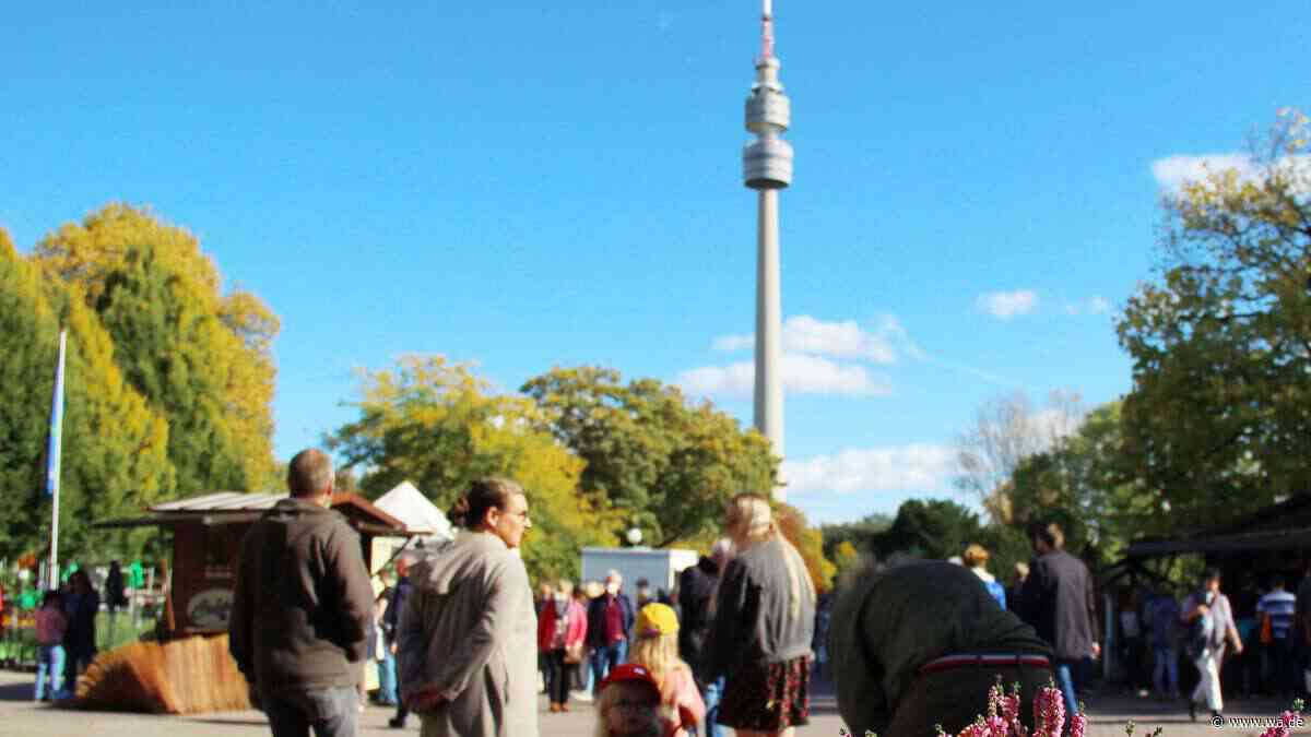 Rund 120 Händler: Herbstmarkt verzaubert Besucher mit buntem Angebot