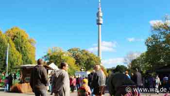 Rund 120 Händler: Herbstmarkt verzaubert Besucher mit buntem Angebot