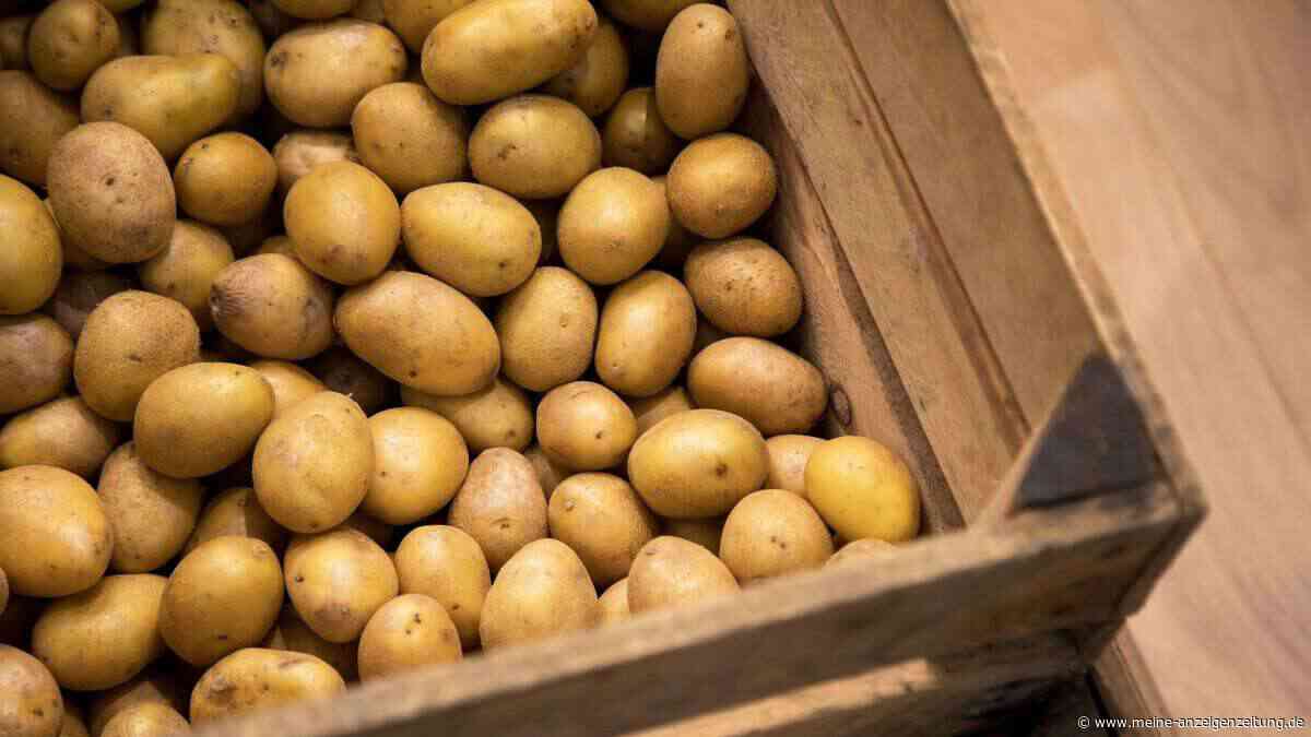 Reiche Ernte: Wie lagere ich mein Gemüse richtig?