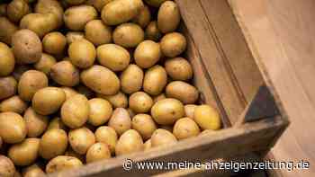 Reiche Ernte: Wie lagere ich mein Gemüse richtig?