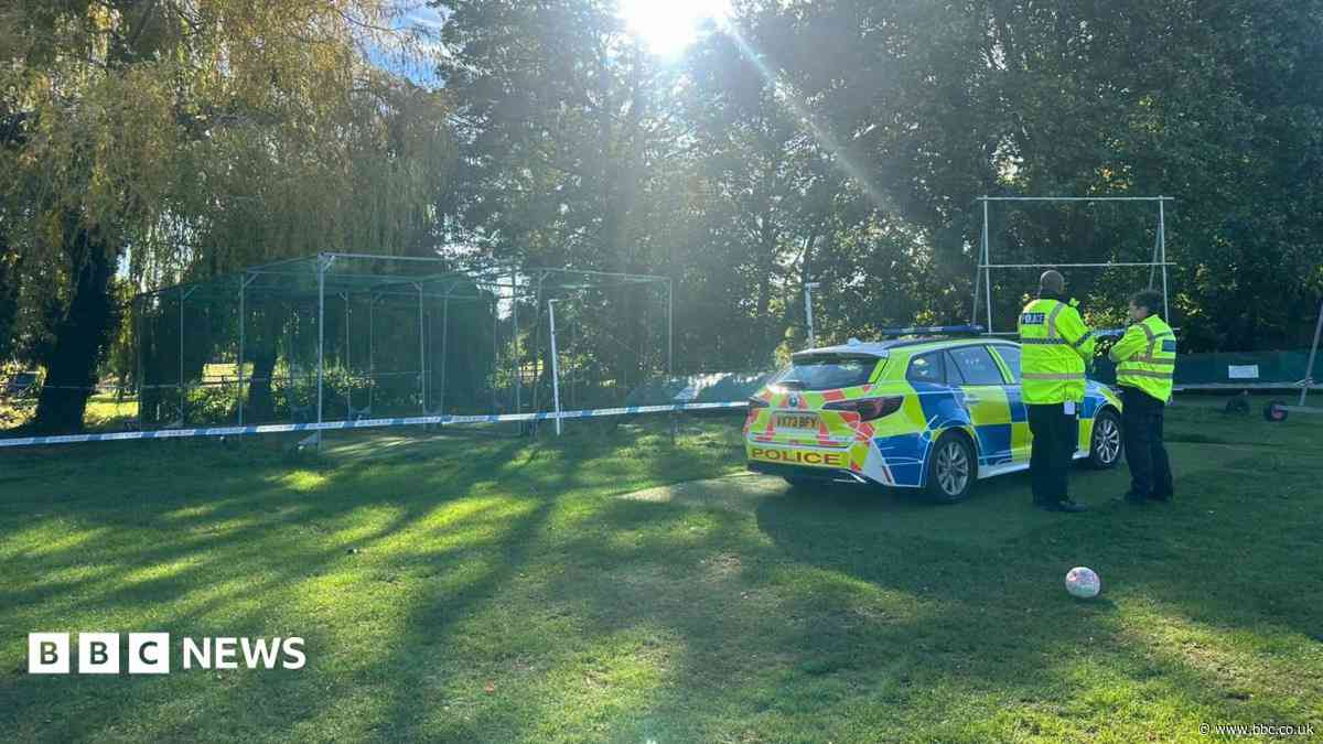Girl, 11, found dead in park