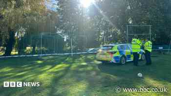 Girl, 11, found dead in park
