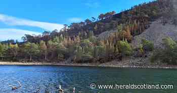 Fabled Cairngorms beauty spot reopens after fire closes path