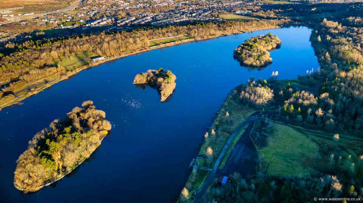 The beautiful country park and lake less than 1 hour from Cardiff perfect for dog walking