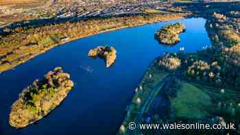 The beautiful country park and lake less than 1 hour from Cardiff perfect for dog walking