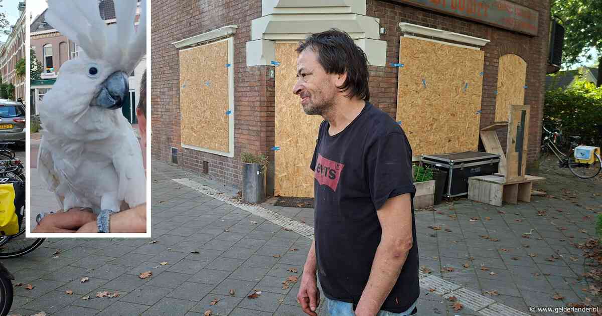 Erwin (58) had ruzie aan zijn deur, een dag later leeft hij op straat en is zijn kaketoe weg