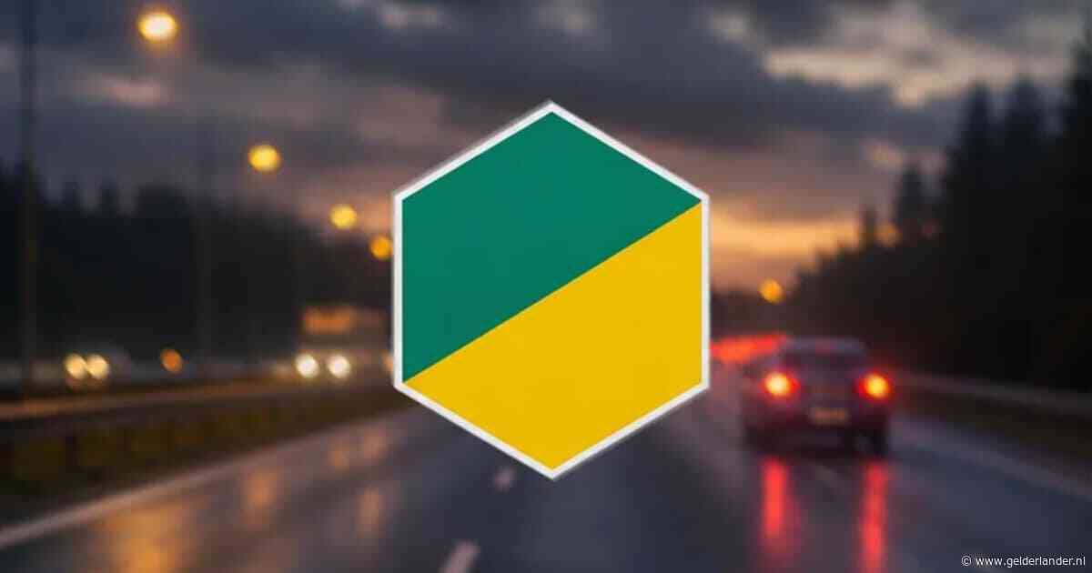 Groen-geel bord is nu verplicht op sommige auto’s: dit betekent het