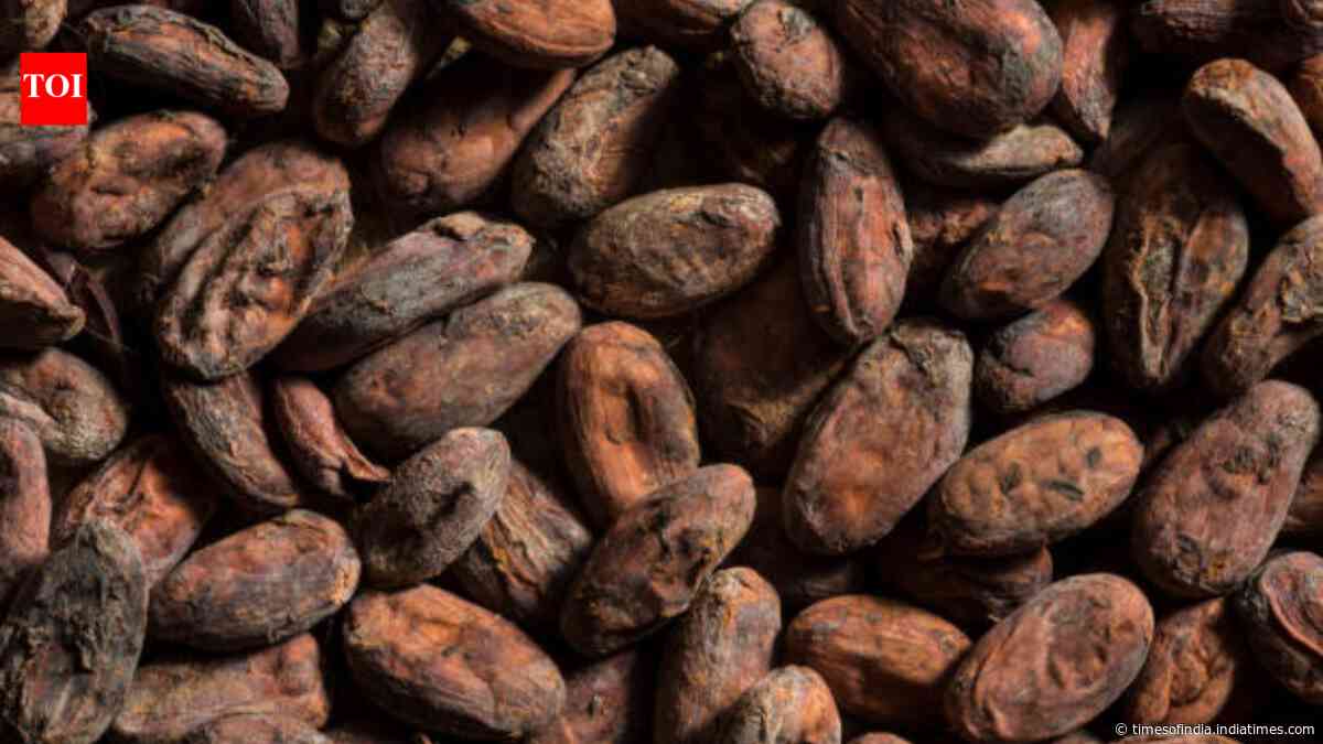 Chocolate reached east of Mississippi 1,000 years ago; ancient pottery reveals cacao at feasts
