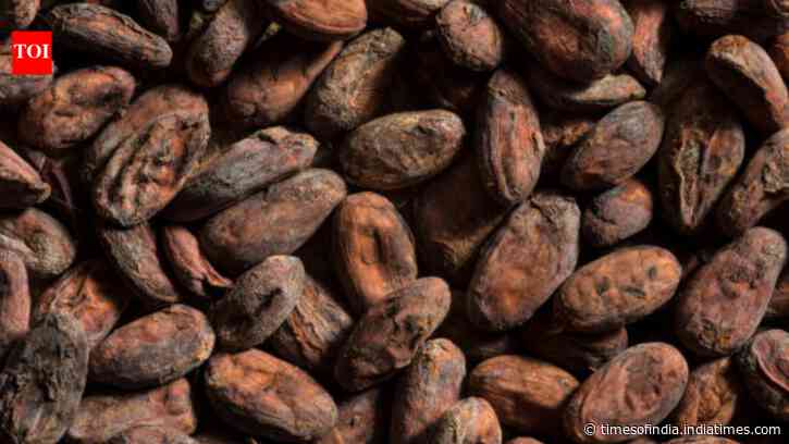 Chocolate reached east of Mississippi 1,000 years ago; ancient pottery reveals cacao at feasts
