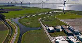 Visindustrie op Urk komt geen stap verder: nu nemen visbedrijven heft in eigen hand