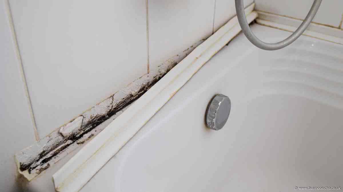Remove mould and mildew from shower grout with cleaning expert's 'no scrub' method