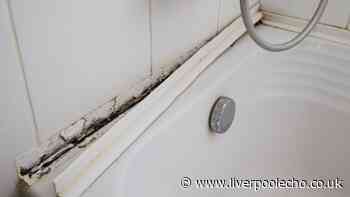 Remove mould and mildew from shower grout with cleaning expert's 'no scrub' method